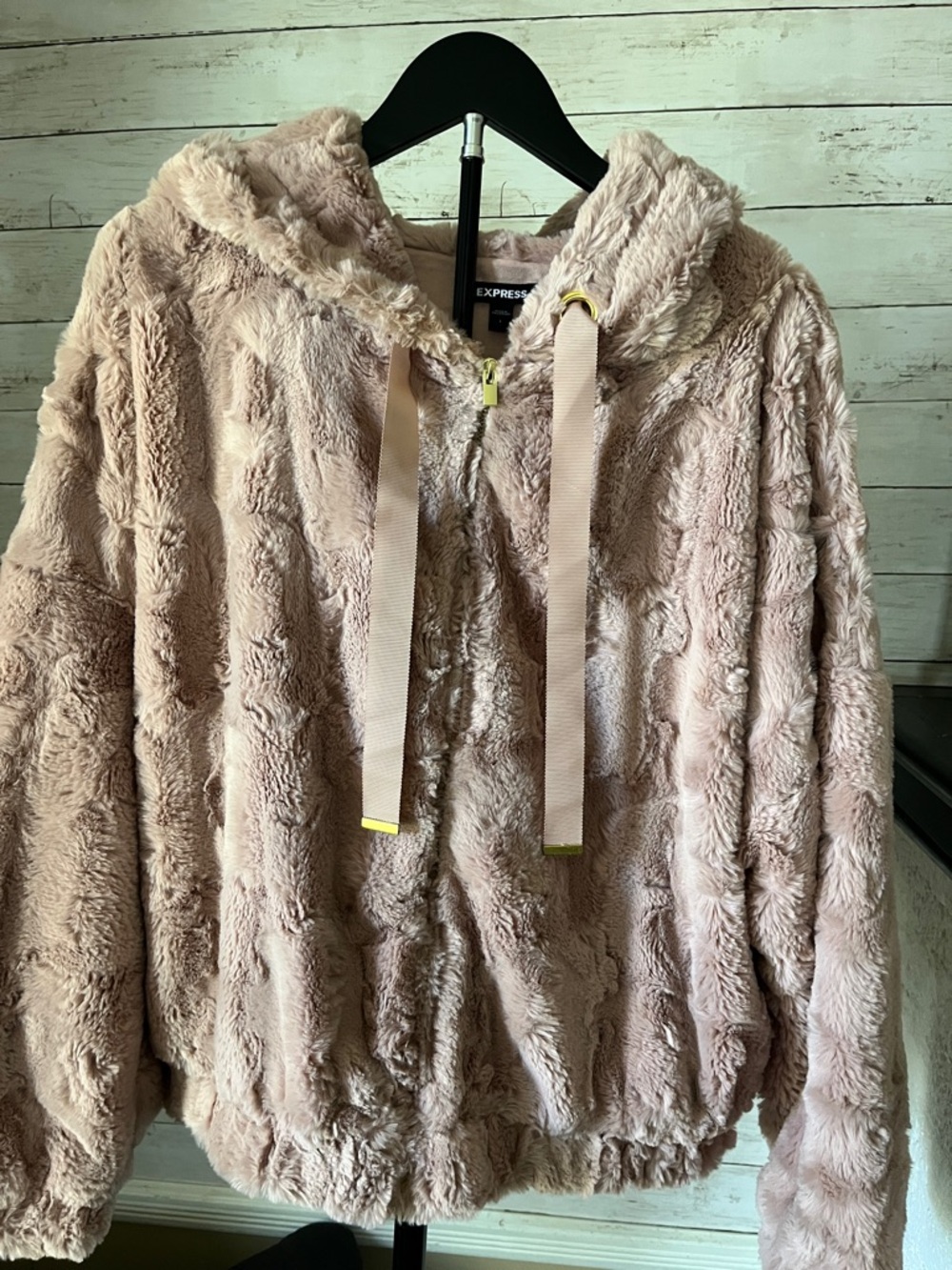 Express Plush Hooded Teddy Jacket in Light Blush